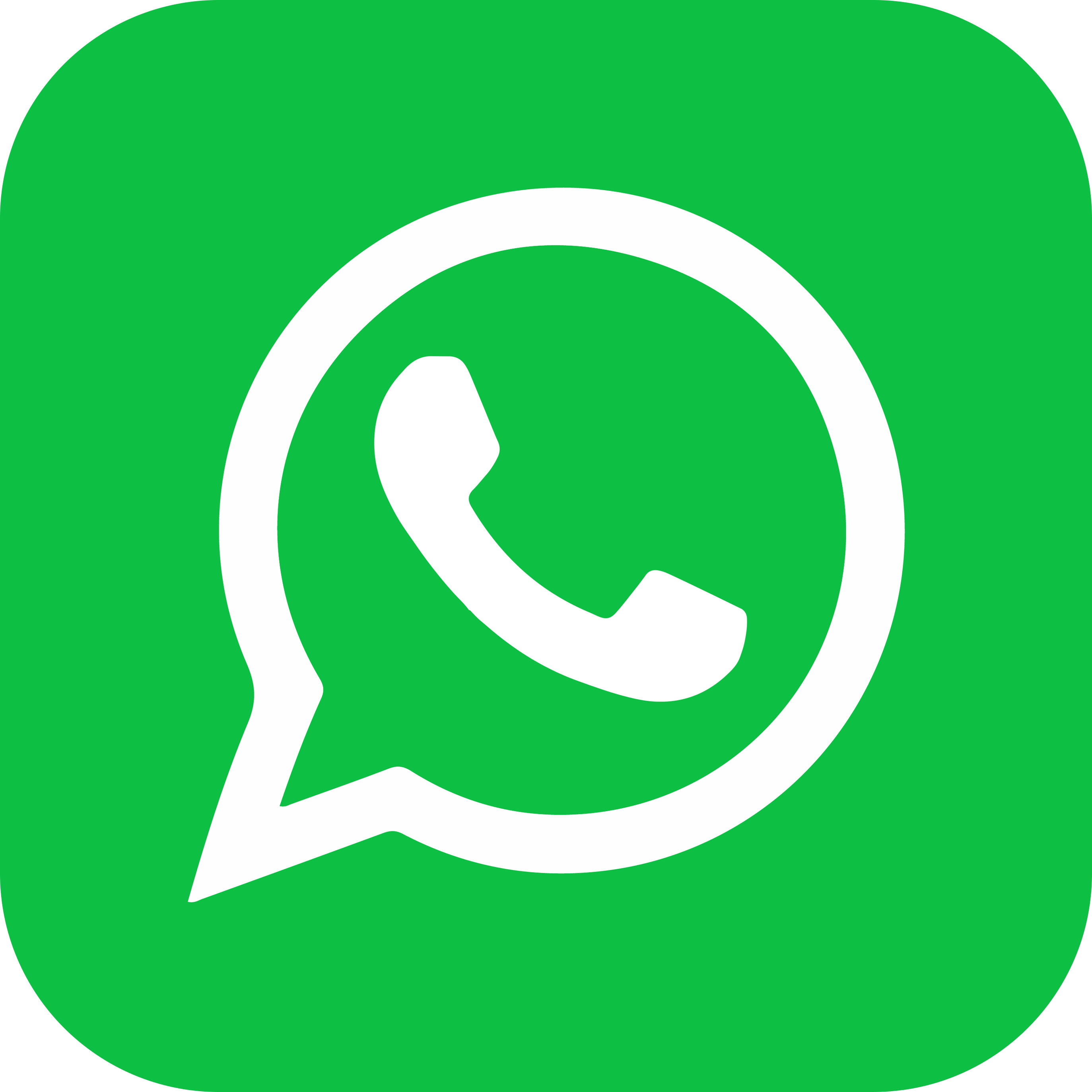 WhatsApp Icon